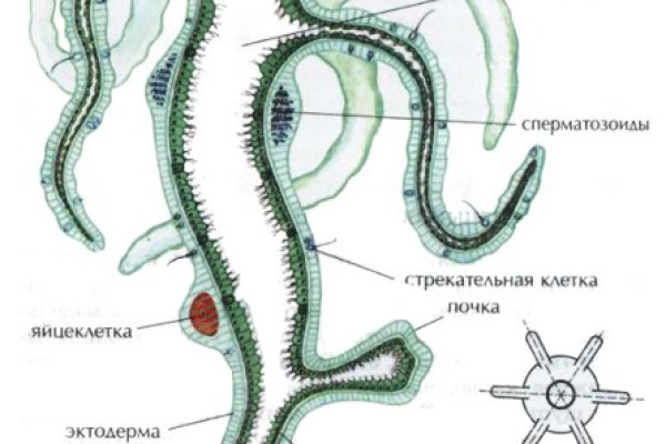 Kra37.cc Вход на сайт главная страница