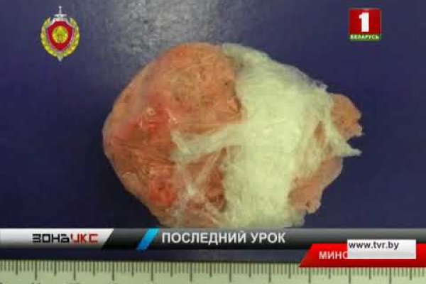 Кракен актуальная ссылка kraken torion net