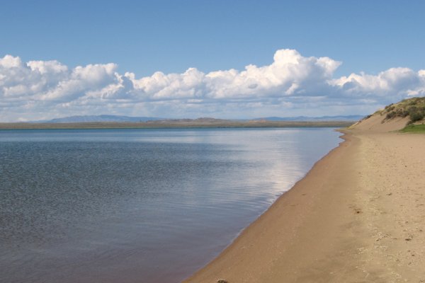 Модератор на кракене
