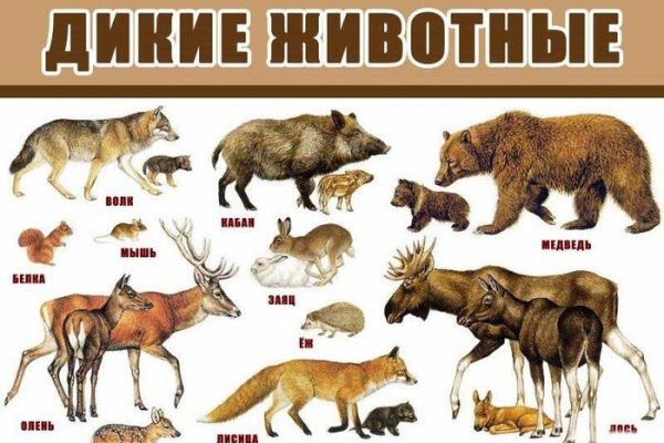 Скрытый интернет как войти