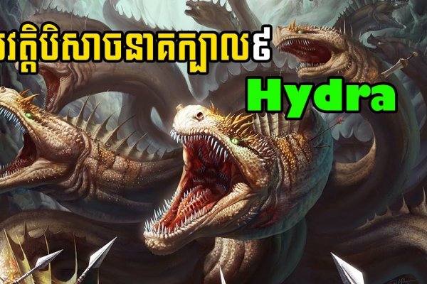 Дарк нет кракен