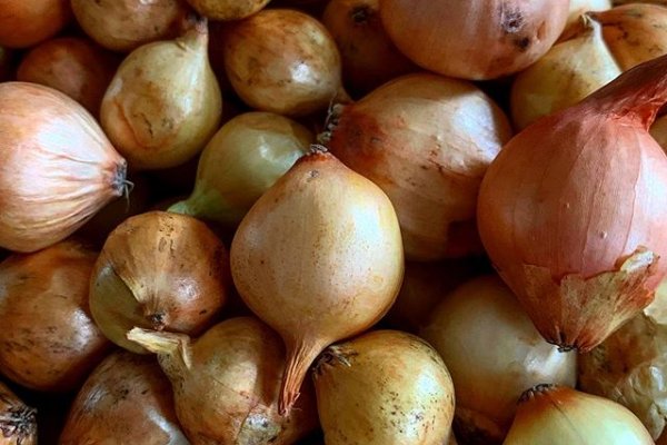 Оригинальная ссылка кракен браузера