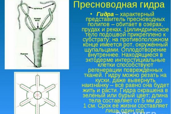 Нарко магазин кракен