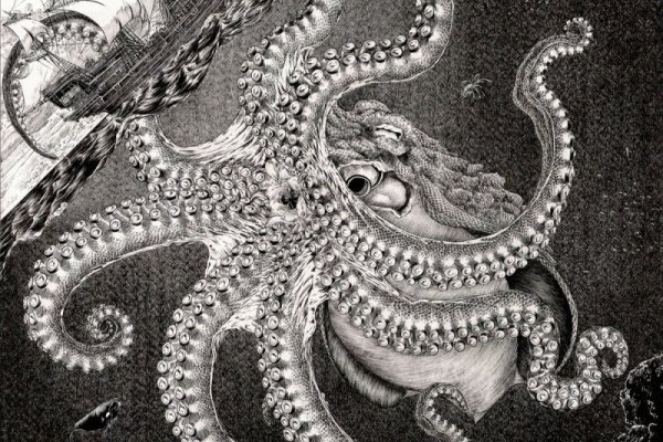 Kraken 19at
