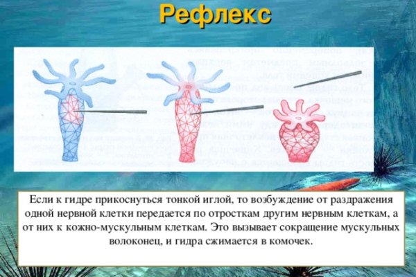 Действующие ссылки на кракен