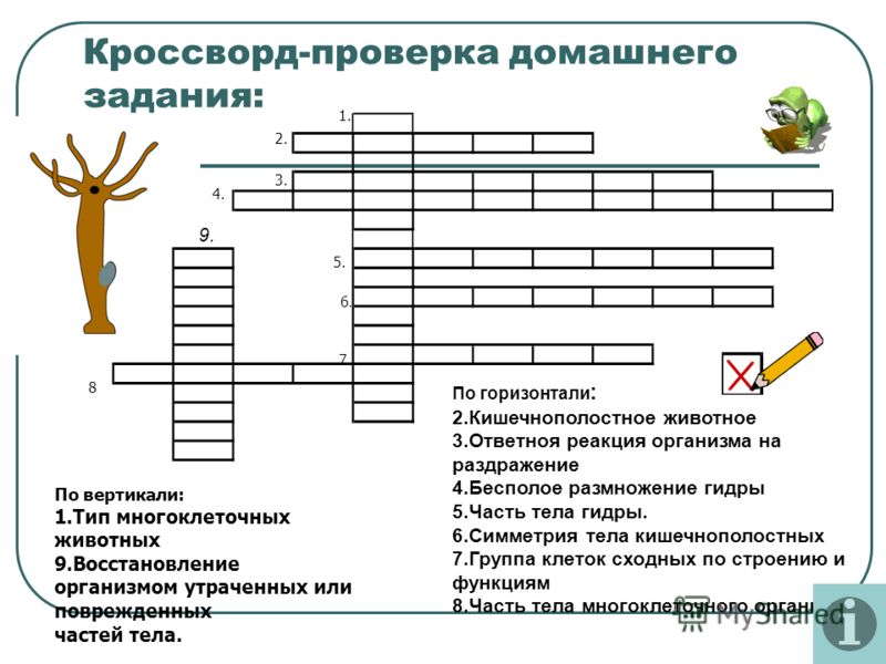 Кракен магазин наркотиков