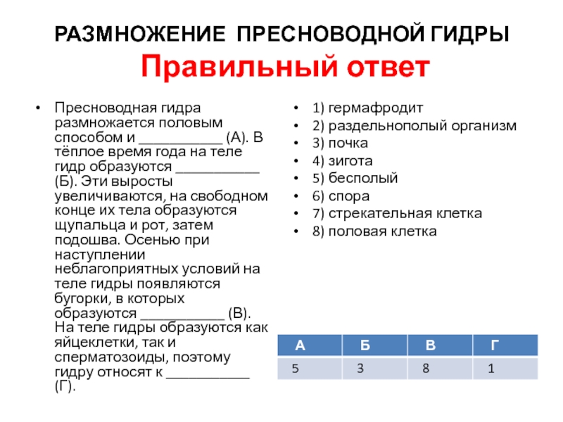 Kra37at
