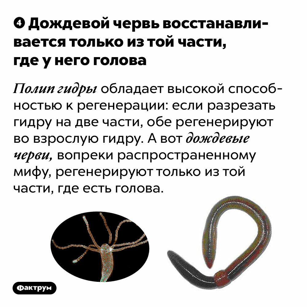 Кракен даркнет только через торг