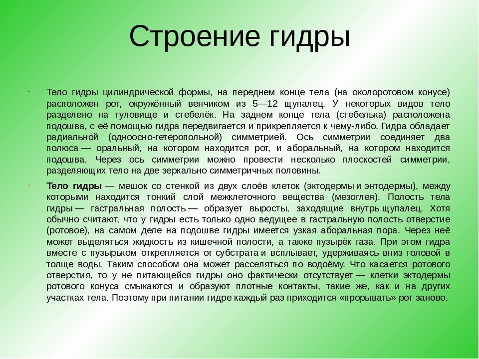 Кракен маркетплейс купить порошок